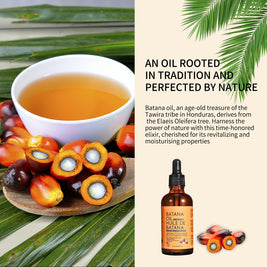 Batana Hair Oil - HaiyiBeauty
