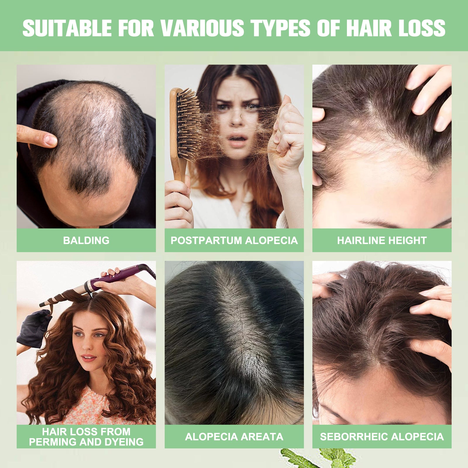 YILEST Rosemary Hair Growth Shampoo - HaiyiBeauty