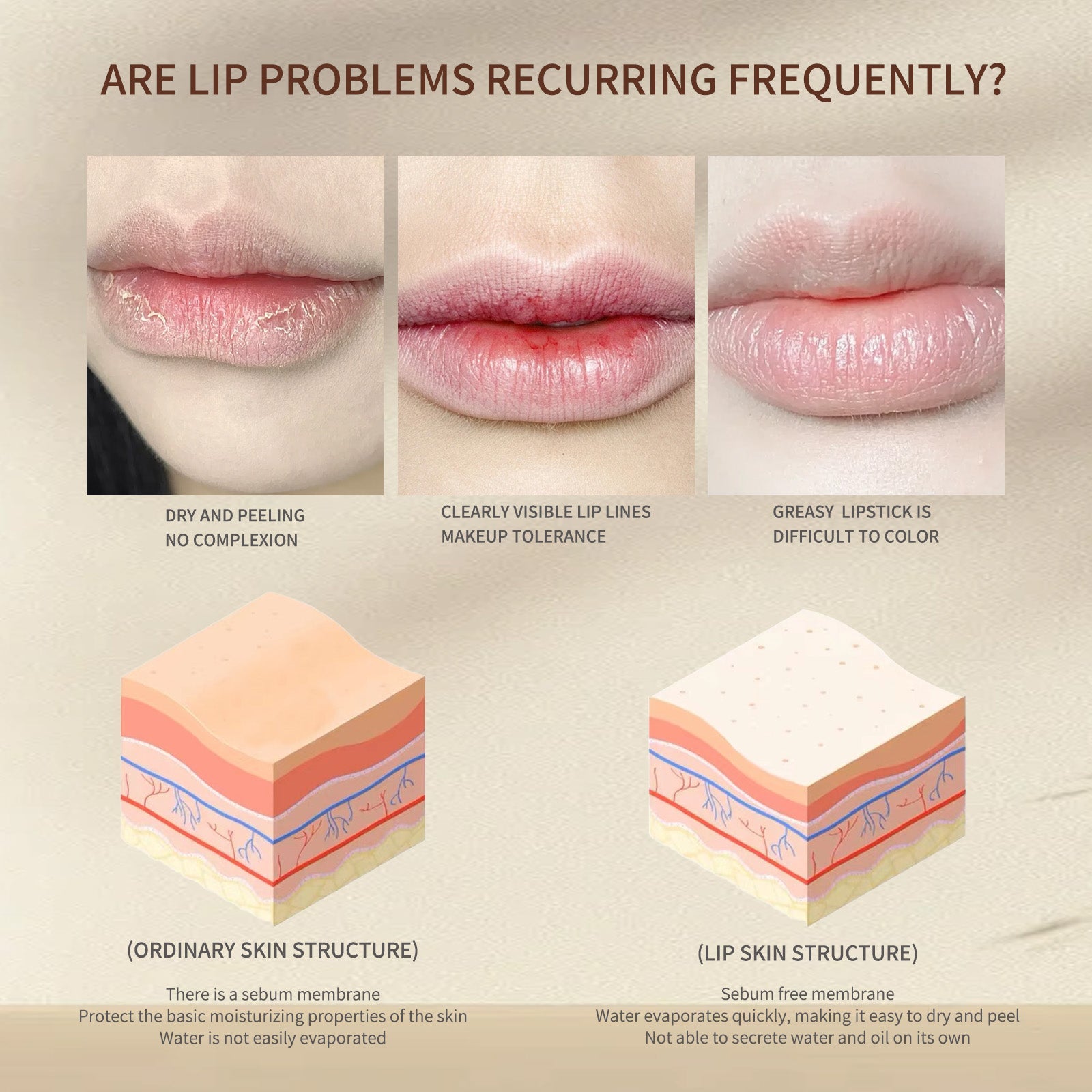 DIMOT Caramel Pudding Light Lipstick Brown - HaiyiBeauty