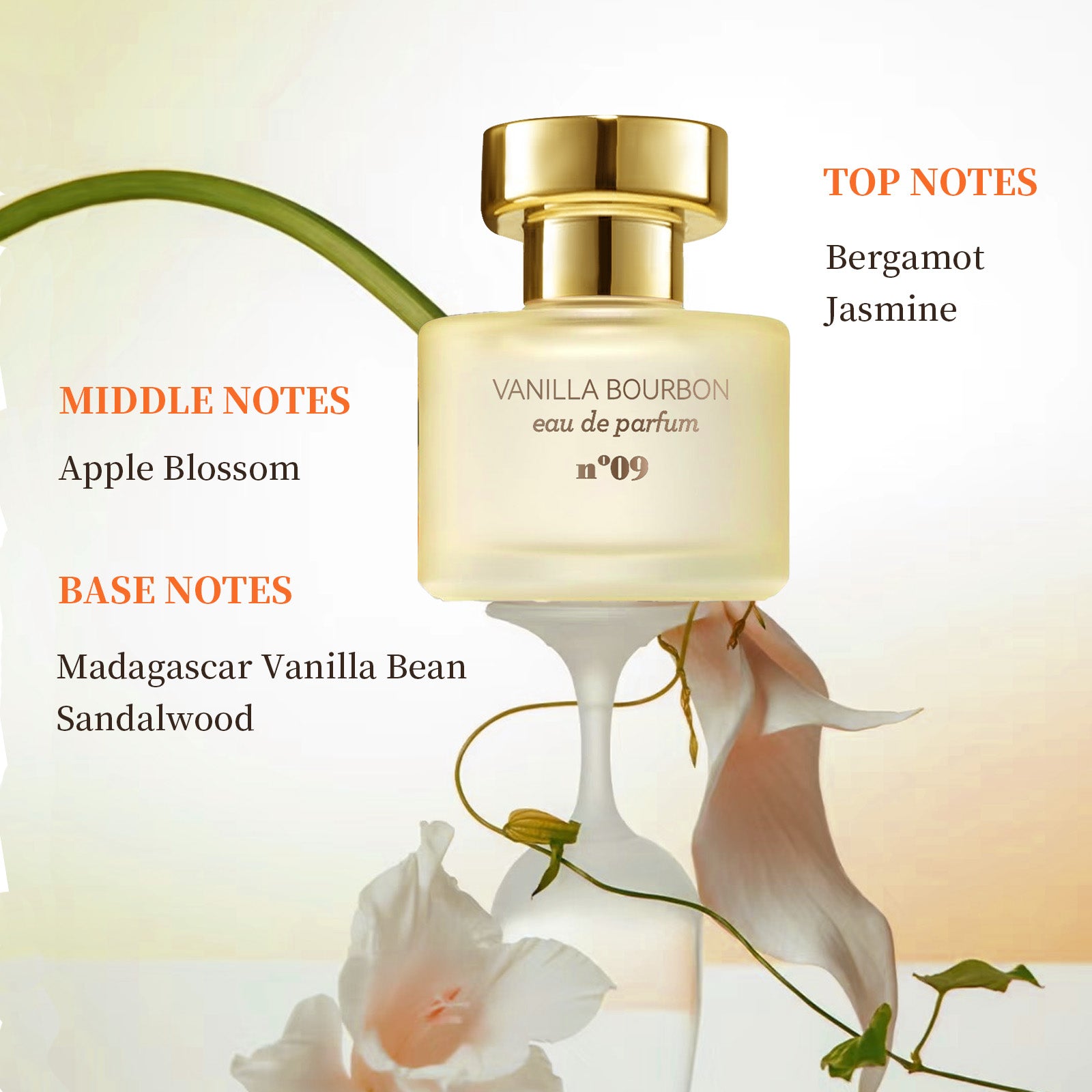 N°09 Vanilla Bourbon Perfume - HaiyiBeauty